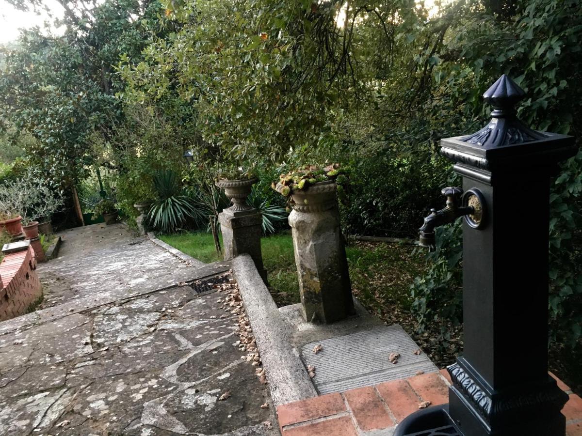 Villa Baronzola Montevarchi Exteriör bild
