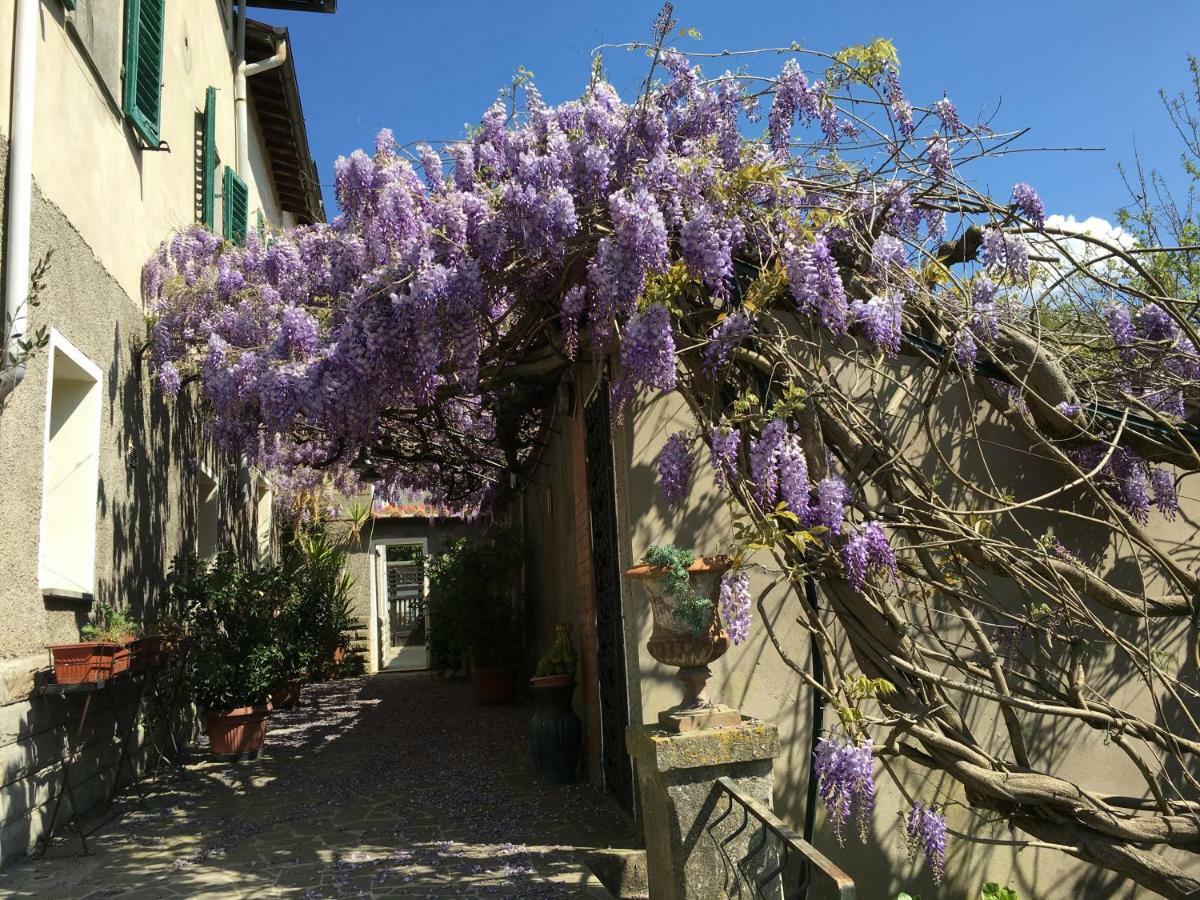 Villa Baronzola Montevarchi Exteriör bild